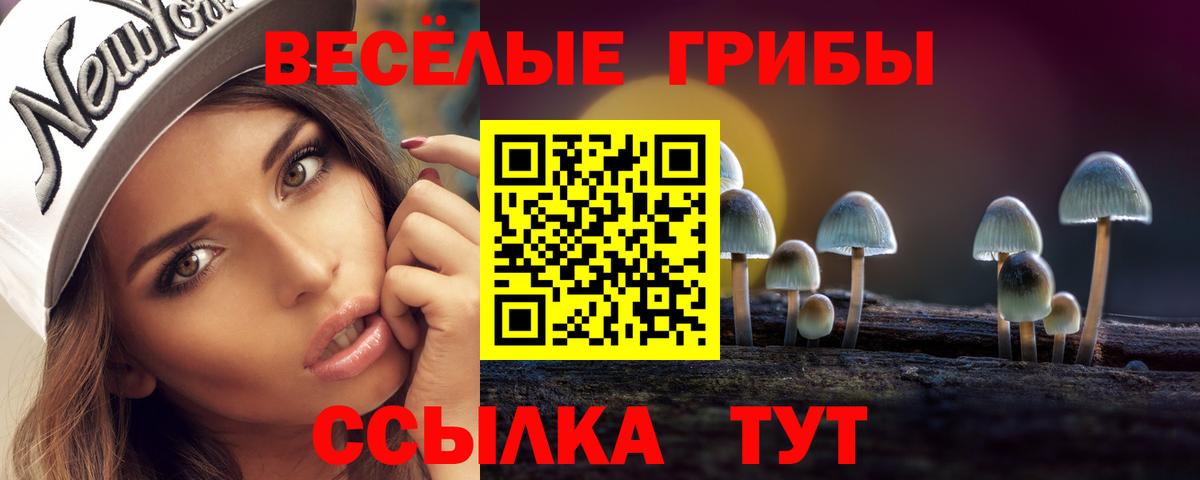 Псилоцибиновые грибы Psilocybine cubensis  Вход с VPN  Тихорецк 